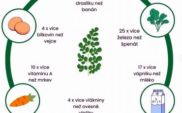 Moringa-multivitamín 3. tisíciletí.
