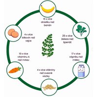 Moringa-multivitamín 3. tisíciletí.