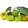 garcinia.png