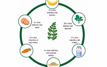 Moringa-multivitamín 3. tisíciletí.